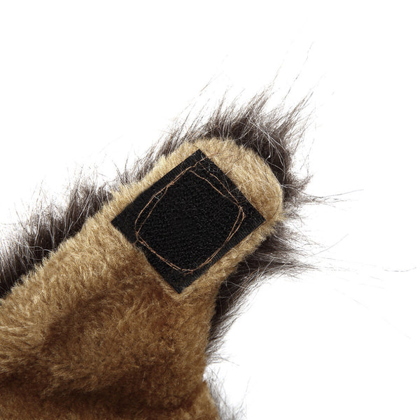 FREE OFFER Lion Cat...Unleash The Beast